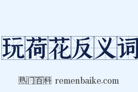 玩荷花反义词是什么意思的图片